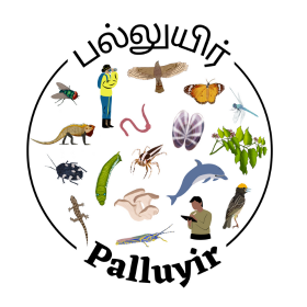 Palluyir Trust